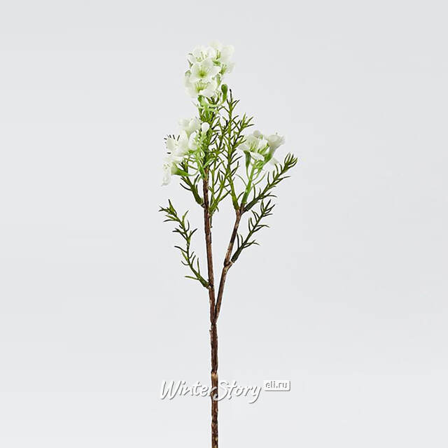 Искусственные ветки Хамелациум - Camoreli 27 см, 2 шт EDG