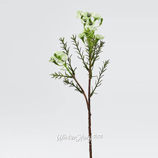 Искусственные ветки Хамелациум - Camoreli 27 см, 2 шт EDG