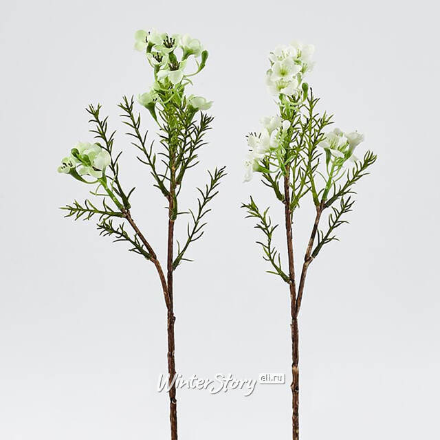 Искусственные ветки Хамелациум - Camoreli 27 см, 2 шт EDG