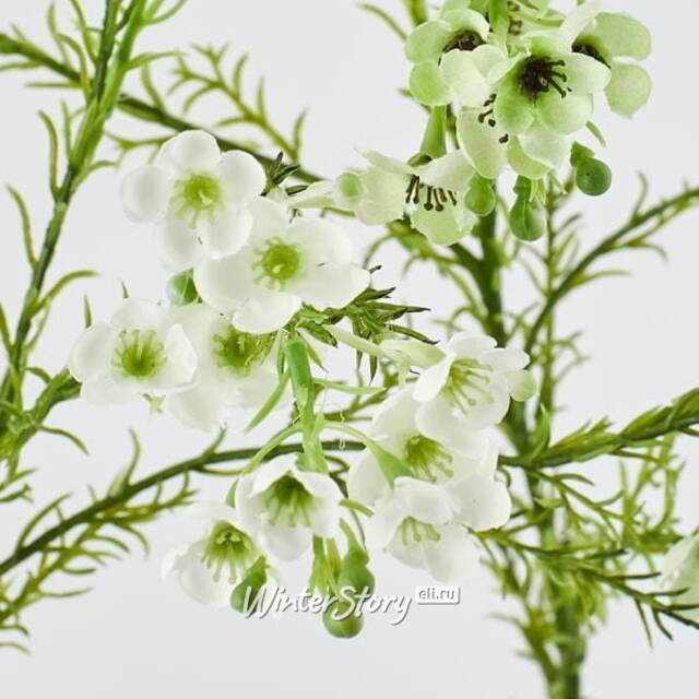 Искусственные ветки Хамелациум - Camoreli 27 см, 2 шт EDG