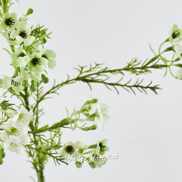 Искусственные ветки Хамелациум - Camoreli 27 см, 2 шт EDG