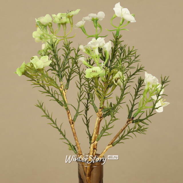 Искусственные ветки Хамелациум - Camoreli 27 см, 2 шт EDG