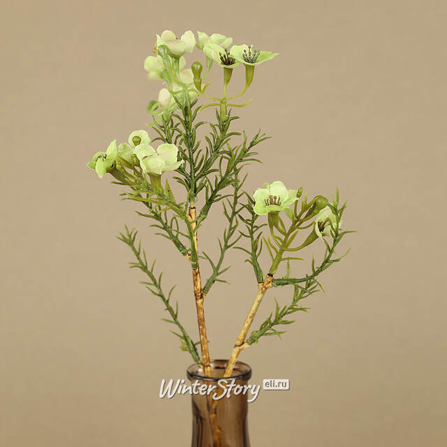 Искусственные ветки Хамелациум - Camoreli 27 см, 2 шт EDG