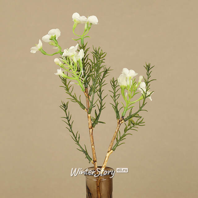 Искусственные ветки Хамелациум - Camoreli 27 см, 2 шт EDG