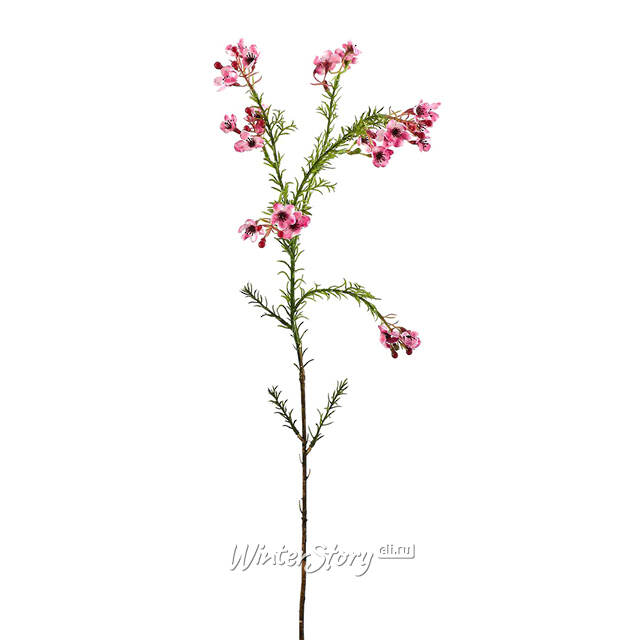 Искусcтвенная ветка Хамелациум Курано 67 см EDG