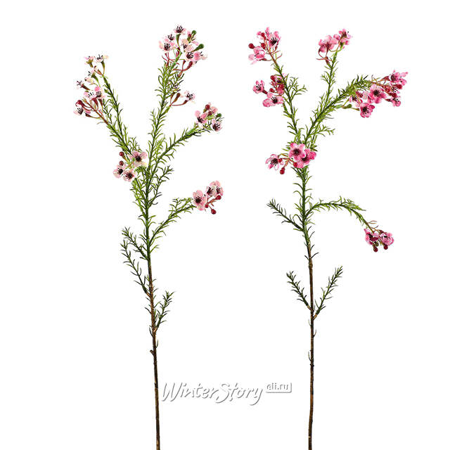 Искусcтвенная ветка Хамелациум Курано 67 см EDG