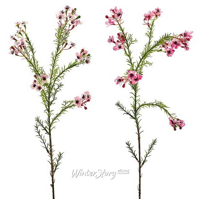 Искусcтвенная ветка Хамелациум Курано 67 см EDG