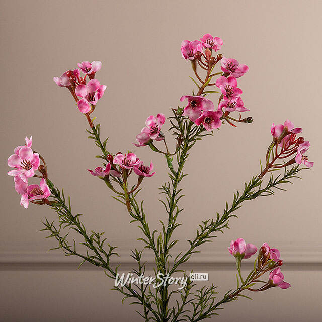 Искусcтвенная ветка Хамелациум Курано 67 см EDG