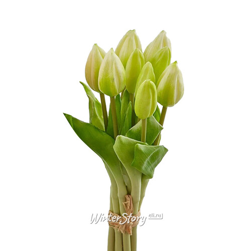 Силиконовые тюльпаны Hidalgo 9 шт, 29 см зеленые EDG