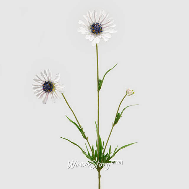 Искуcственный цветок Scabiosa - Perfecta White 65 см EDG