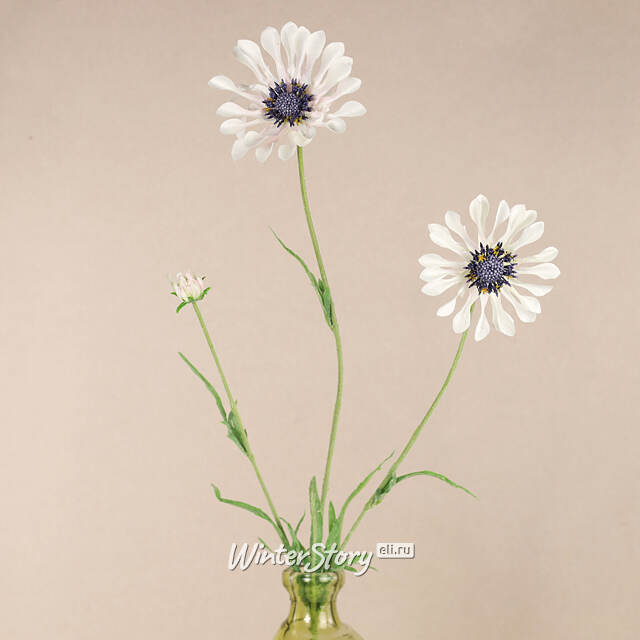 Искуcственный цветок Scabiosa - Perfecta White 65 см EDG