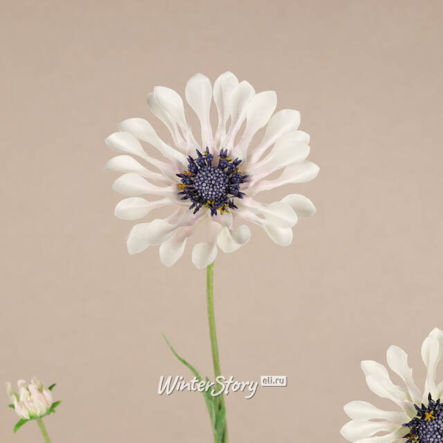 Искуcственный цветок Scabiosa - Perfecta White 65 см EDG