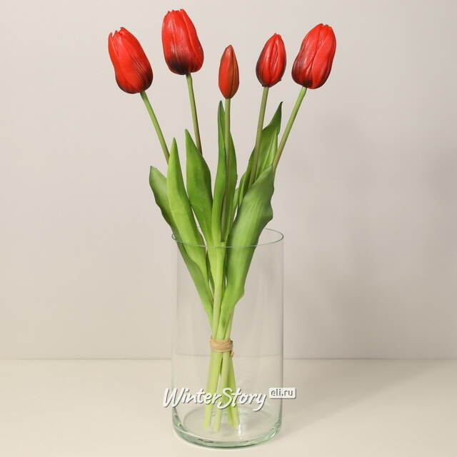 Силиконовые тюльпаны Стелла Аризона 5 шт, 40 см EDG