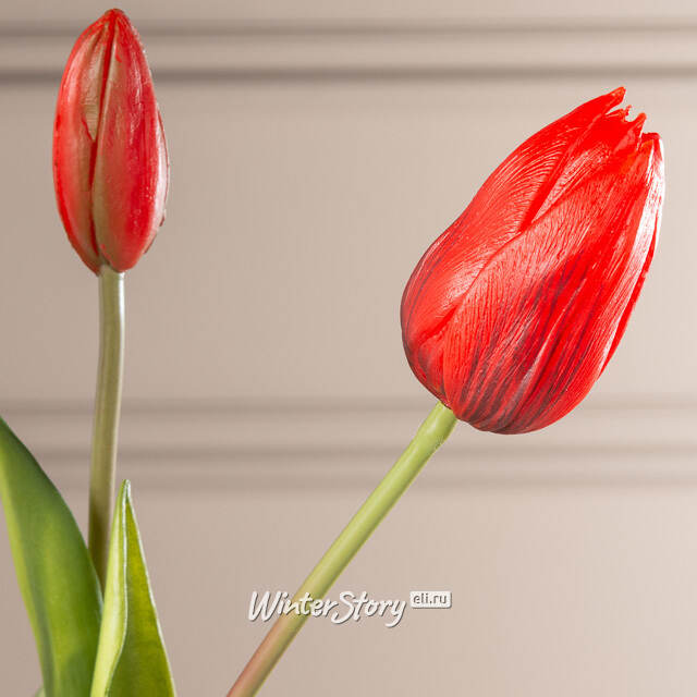 Силиконовые тюльпаны Стелла Аризона 5 шт, 40 см EDG