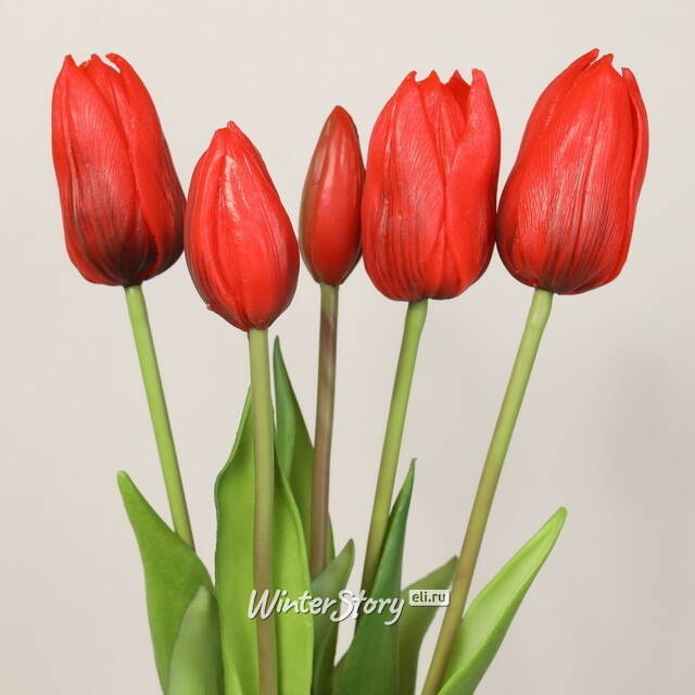Силиконовые тюльпаны Стелла Аризона 5 шт, 40 см EDG