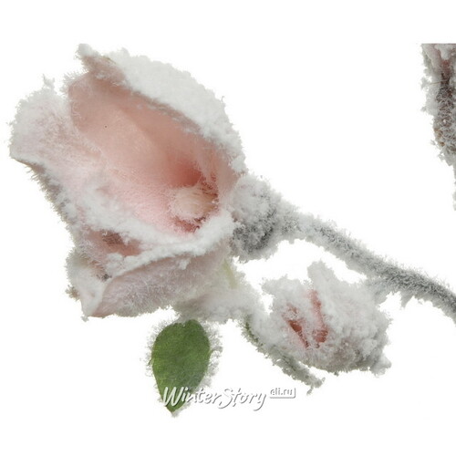 Искусственная магнолия Лилифлора Снежная 50 см, нежно-розовая Kaemingk