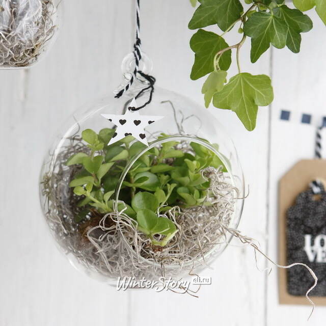 Стеклянный шар для декора Мелоне 12 см Ideas4Seasons (Идеас Фор Сезонс)