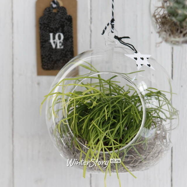 Стеклянный шар для декора Мелоне 14 см Ideas4Seasons (Идеас Фор Сезонс)