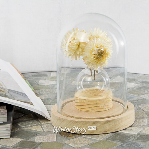 Декоративная ваза Siogardo 5 см на деревянной подставке, стекло Ideas4Seasons