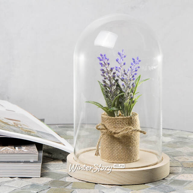 Стеклянный клош для декора Joysan 21 см Ideas4Seasons