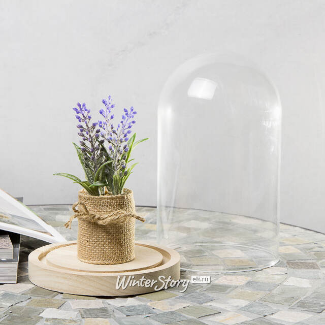 Стеклянный клош для декора Joysan 21 см Ideas4Seasons