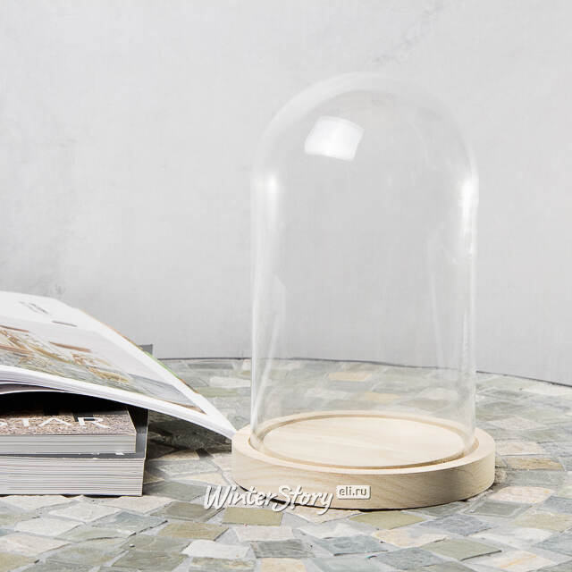 Стеклянный клош для декора Joysan 21 см Ideas4Seasons