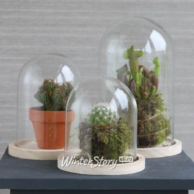 Стеклянный клош для декора Joysan 21 см Ideas4Seasons