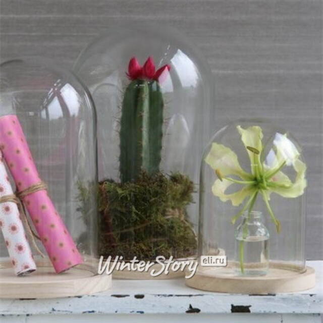 Стеклянный клош для декора Joysan 21 см Ideas4Seasons