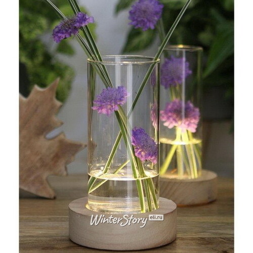 Стеклянная ваза с подсветкой Lokrum 18 см, на батарейках Ideas4Seasons