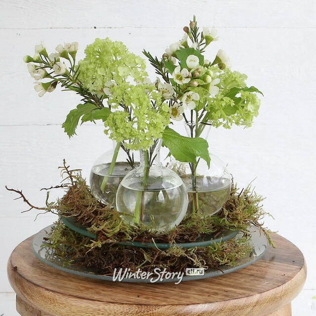 Стеклянная тарелка Луруа 20 см круглая Ideas4Seasons (Идеас Фор Сезонс)