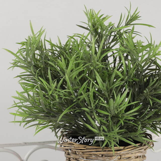 Искусственный эвкалипт в горшке Hierba 26 см Koopman