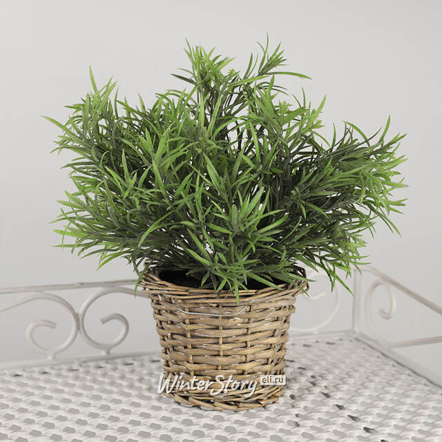 Искусственный эвкалипт в горшке Hierba 26 см Koopman