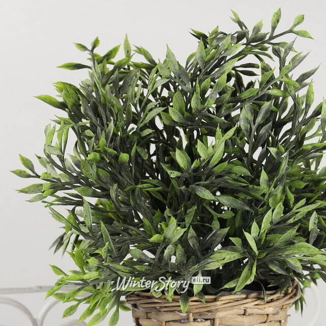 Искусственный эвкалипт в горшке Graesi 26 см купить в интернет-магазине ...