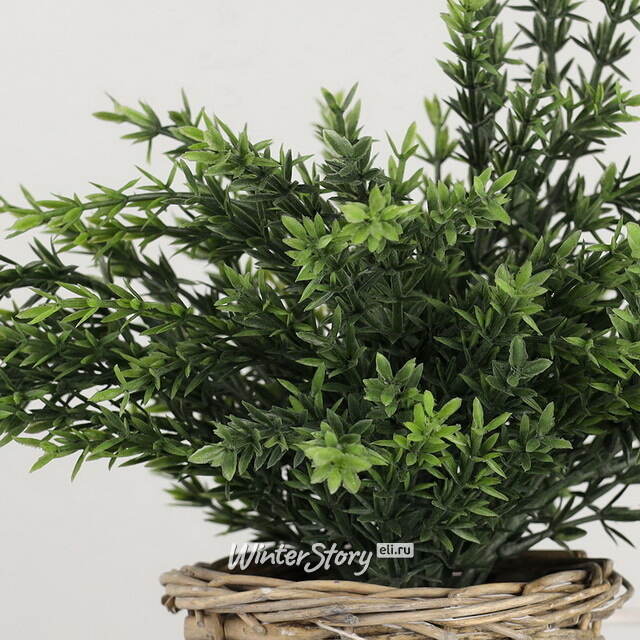 Искусственный эвкалипт в горшке Fearo 26 см Koopman