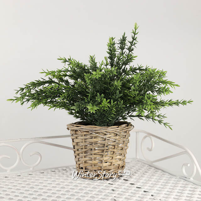 Искусственный эвкалипт в горшке Fearo 26 см Koopman