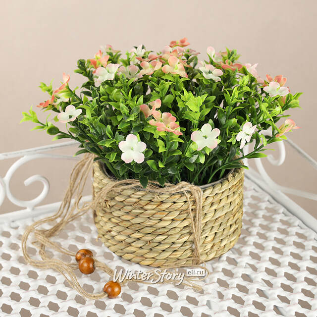 Искусственный цветок в кашпо Броваллия 18 см оранжевая Koopman