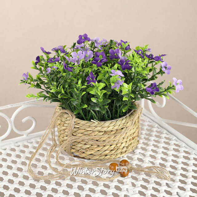 Искусственный цветок в кашпо Броваллия 18 см пурпурная Koopman