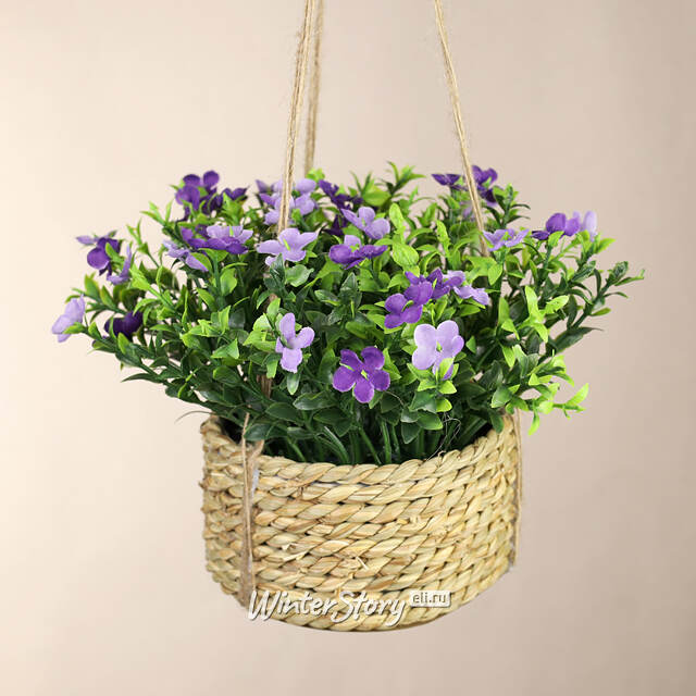 Искусственный цветок в кашпо Броваллия 18 см пурпурная Koopman