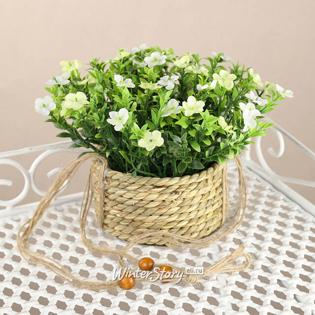 Искусственный цветок в кашпо Броваллия 18 см белая Koopman