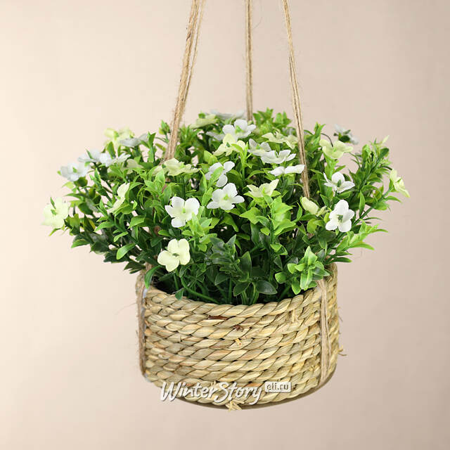 Искусственный цветок в кашпо Броваллия 18 см белая Koopman