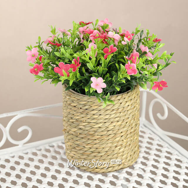 Искусственный цветок в кашпо Броваллия 20 см розовая Koopman