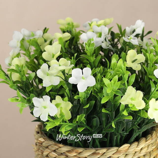 Искусственный цветок в кашпо Броваллия 20 см белая Koopman