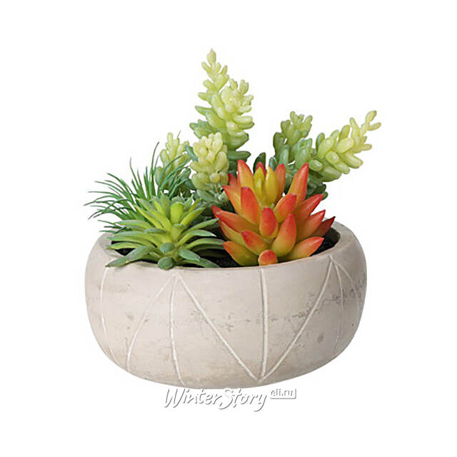 Искусственное растение в кашпо Succulent: Refule 14 см Koopman