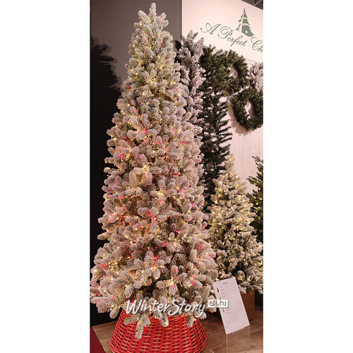 Искусственная стройная елка с гирляндой Джорджия Slim заснеженная 213 см, 1800 красных/теплых белых ламп, ЛИТАЯ + ПВХ A Perfect Christmas
