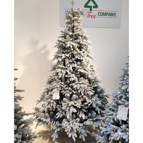 Искусственная елка Андорра заснеженная 274 см, ЛИТАЯ + ПВХ National Tree Company