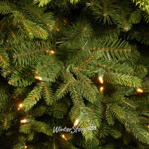Искусственная стройная елка с гирляндой Каррингтон 198 см, 300 теплых белых LED ламп, ЛИТАЯ + ПВХ National Tree Company