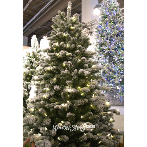 Искусственная елка с гирляндой Шеффилд заснеженная 228 см, 650 теплых белых ламп, ЛИТАЯ + ПВХ National Tree Company