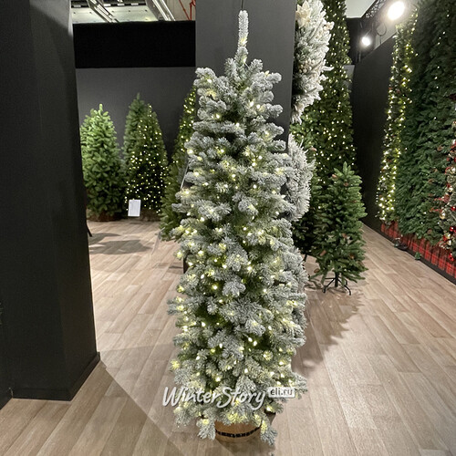 Пристенная искусственная елка с лампочками Шеффилд заснеженная 183 см, 250 теплых белых LED ламп, ЛИТАЯ + ПВХ National Tree Company