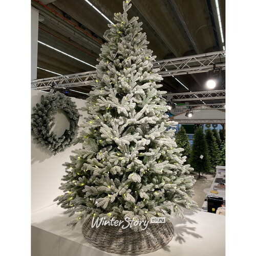 Искусственная елка с огоньками Гамильтон заснеженная 228 см, 750 теплых белых ламп, ЛИТАЯ + ПВХ National Tree Company