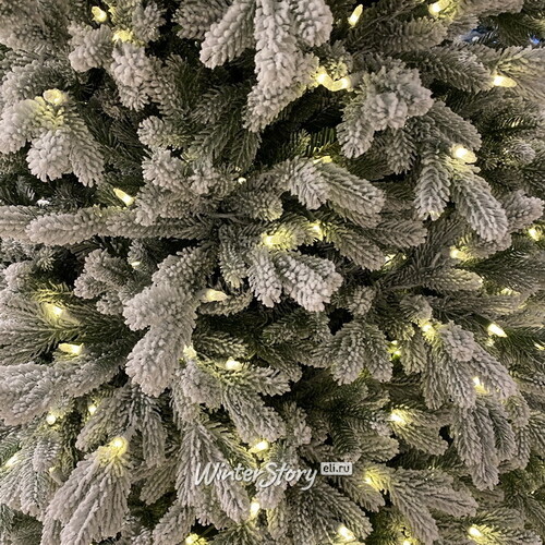 Искусственная елка с огоньками Гамильтон заснеженная 228 см, 750 теплых/холодных белых ламп, ЛИТАЯ + ПВХ National Tree Company